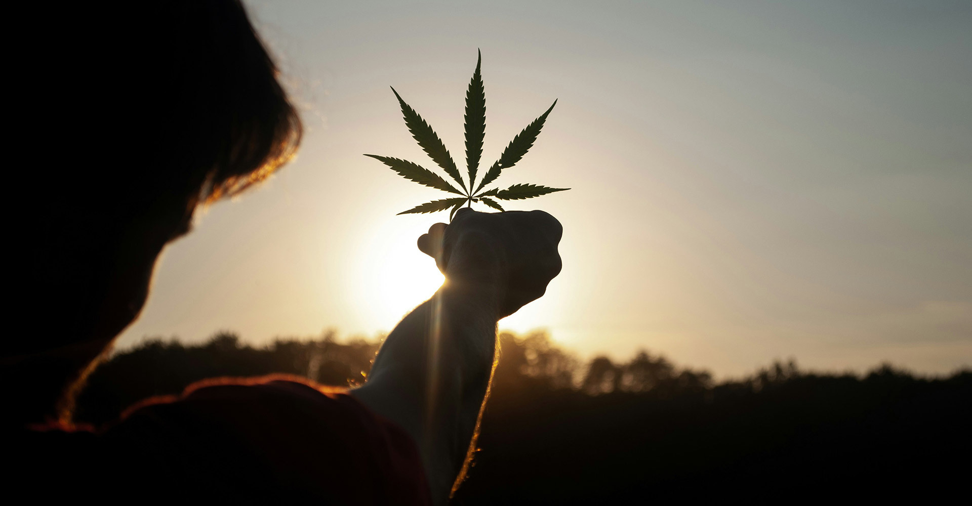 Association Québécoise de l'Industrie du Cannabis Association Québécoise de l'Industrie du Cannabis